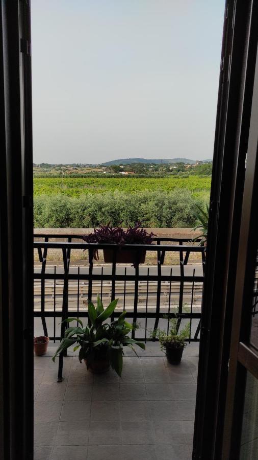 Wintage Bed & Breakfast Marino Bagian luar foto